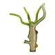Nasco MG10253 Hydra Model, 250x Enlarged, 4 Parts - Angle 4