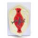 Nasco MG13909 Mitosis Model, 10,000x Enlarged, 8 Parts - Angle 5