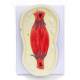 Nasco MG13909 Mitosis Model, 10,000x Enlarged, 8 Parts - Angle 7