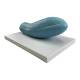Nasco MG15179 Paramecio Model, Enlarged, 2 Parts - Angle 2