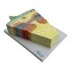 Nasco MG17214 Dicotiledonenean Herbaceous Stem Model, 300x Enlarged - Angle 1