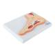 Nasco MG17224 Foot Model, Midsection - Right Angle