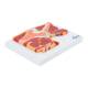 Nasco MG17227 Hip Model, Midsection - Right Angle