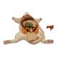 Nasco MG20114 Mouse Anatomy Model, 6 Parts - Angle 7