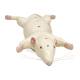 Nasco MG20114 Mouse Anatomy Model, 6 Parts - Angle 4