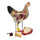 Nasco MG20115 Domestic Hen Anatomy Model, 8 Parts - Angle 2
