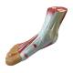 Nasco MG20120 Foot with Ligaments and Muscles Model, Left Angle View