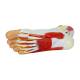 Nasco MG20121 Foot with Vessels, Ligaments, and Muscles Model, 3 Parts, Bottom View