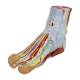 Nasco MG20122 Foot Model, 9 Parts, Left Angle View