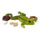 Nasco MG20126 Frog Anatomy Model, 3x Enlarged, 5 Parts - Angle 4