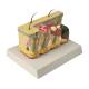 Nasco MG21066 Skin Section with Burn Model, 30x Enlarged - Top Right Angle View