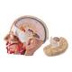 Nasco MG21266 Deluxe Head Model, 4 Parts - Angle 6