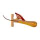 Nasco MG21278 Hair Model, 100x Enlarged - Hair Follicle and Root Close-up View