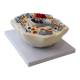 Nasco MG21698 Animal Cell Model, 20,000x Enlarged - Angle 2