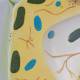 Nasco MG21703 Plant Cell Model, 20,000x Enlarged - Angle 5