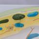 Nasco MG21703 Plant Cell Model, 20,000x Enlarged - Angle 4