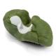 Nasco MG21715 Cerebellum Model, 4x Enlarged, 2 Parts - Angle 2