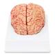 Nasco MG21716 Brain with Arteries Model, 2 Parts - Angle 2