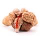 Nasco MG21717 Brain with Arteries Model, 9 Parts - Angle 1