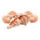 Nasco MG21717 Brain with Arteries Model, 9 Parts - Angle 3