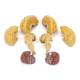 Nasco MG21719 Classic Brain Model, 8 Parts - Angle 5