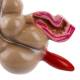 Nasco MG21850 Colon with Intestinal Pathologies Model - Angle 3 Close-up