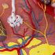 Nasco MG21893 Comparative Skin Section Model, 70x Enlarged - Dermal Vasculature and Gland Close-up View