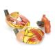 Nasco MG22272 Heart Model, 3x Enlarged, Disassembled Back View