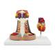 Nasco MG22273 Heart with Esophagus and Trachea Model, 6-Part
