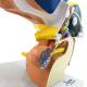 Nasco MG22801 Brain Model, 5x Enlarged, 4 Parts - Angle 2