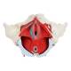 Nasco MG22962 Female Pelvis Model, 6 Parts - Bottom View