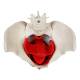 Nasco MG22962 Female Pelvis Model, 6 Parts - Top View
