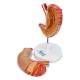 Nasco MG23160 Stomach Model, Enlarged, 2 Parts - Disassembled