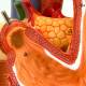 Nasco MG23161 Stomach Model, 6 Parts - Angle 1 Close-up