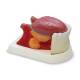 Nasco MG29179 Tongue Model, 2.5x Enlarged, 3 Parts, Right Angle View