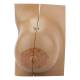 Nasco MG29239 Breast Model, Lactating - Front View