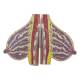 Nasco MG29239 Breast Model, Lactating - Side View of Internal Parts