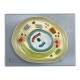 Nasco MG29412 Meiosis Model, 10,000x Enlarged, 12 Parts - Angle 5