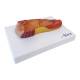 Nasco MG29767 Rectum Cross-Section Model, 3x Enlarged - Right Angle