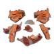 Nasco MG29864 Head Musculature Model, 2x Enlarged, 10 Parts - Angle 7