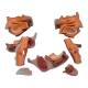 Nasco MG29864 Head Musculature Model, 2x Enlarged, 10 Parts - Angle 8