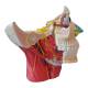 Nasco MG29868 Head Musculature with Cranial and Autonomic Nerves Model, 2.5x Enlarged - Angle 3