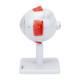 Nasco MG29938 Eye Model, 3x Enlarged, 8 Parts, Right Side View