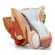 Nasco MG29950 Male Genital Organ Model, 4 Parts - Right Angle