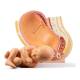 Nasco MG30131 Pelvis with Pregnancy Model, 2 Parts - Angle 2