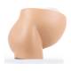 Nasco MG30131 Pelvis with Pregnancy Model, 2 Parts - Angle 5