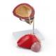 Nasco MG30753 Prostate Model, 3x Enlarged, 2 Parts - Disassembled 1