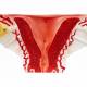 Nasco MG31101 Female Reproductive Organ Section Model, 1.5x Enlarged - Uterus