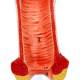 Nasco MG31101 Female Reproductive Organ Section Model, 1.5x Enlarged - Vagina