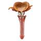 Nasco MG31102 Male Reproductive Organ Section Model - Penis